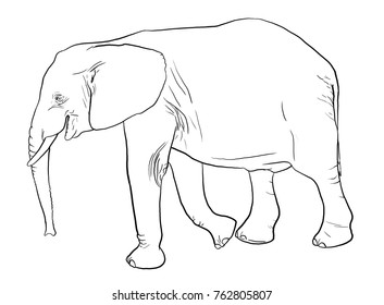 Elephant Baby Symbol Continuous One Line Stock Vector (Royalty Free ...