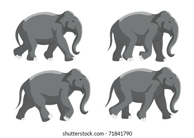 An African Elephant Walking Cycle