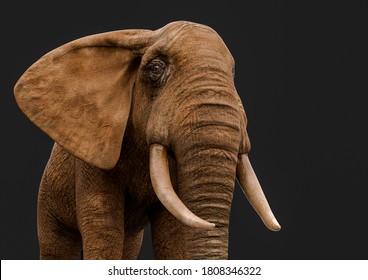 african elephant is walking in a dark grey background close up side view, 3d illustration - Powered by Shutterstock