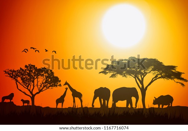 サファリ動物サバンナの影法師のアフリカの風景 日没の背景 のイラスト素材