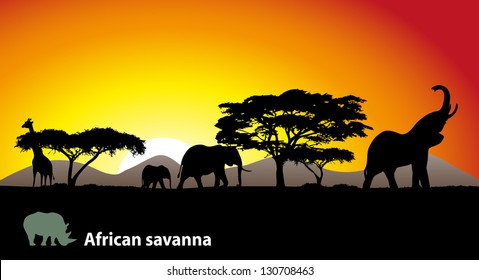 African Savanna