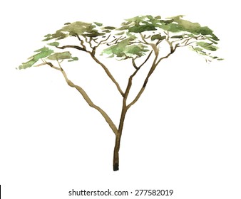 14,554 African trees drawing Images, Stock Photos & Vectors | Shutterstock