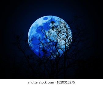 Agartala, India - 09/20/2020: The Blue Moon Will Come On October 31, 2020.