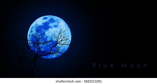 Agartala, India - 09/20/2020: The Blue Moon Will Come On October 31, 2020.