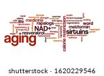 Aging static word cloud. Typography.