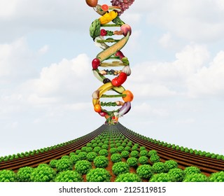 Agricultural Genetics And GMO Farming Or Genetically Modified Crops Or Growing Food Biotechnology Science And Farm Yield Technology With 3D Illustration Elements.