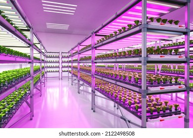 Agriculture Technology 3d Rendering Indoor Farm Stock Illustration ...