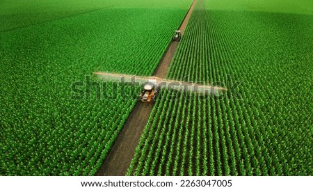 Similar – Image, Stock Photo Tractor as spraying field of sunflower, as waving in wind, with sprayer, herbicide and pesticide