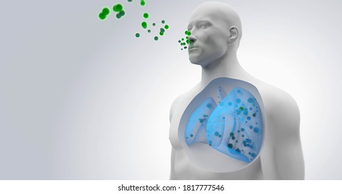 Airborne Viruses Transmission In The Lungs, Human Respiration And Viruses, Covid-19