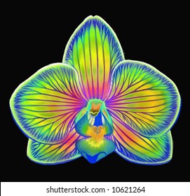 Airbrush Painting Of A Phalaenopsis Orchid Flower Blossom.