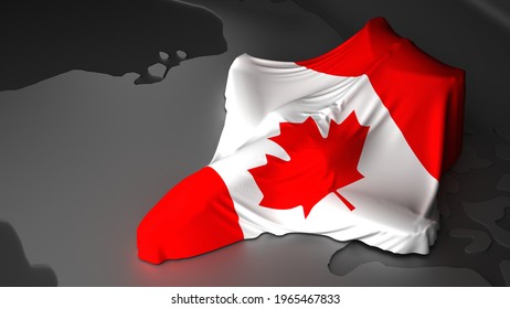 airplane is covered with the flag of the Canada. 3d rendering