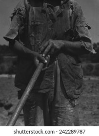 Alabama African American Tenant Farmer Holding A Hoe. Photo By Dorothea Lange, June 1936.