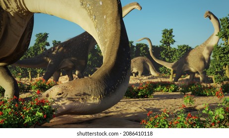 Alamosaurus Eating Berries, Group Of Dinosaurs From The Late Cretaceous Period At Sunrise, 3d Science Render