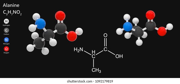 4,096 Essential amino acids Images, Stock Photos & Vectors | Shutterstock