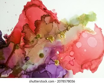 Alcohol Ink Abstract. Colorful Abstract Painted. Wash Background. Multicolor High Quality Details. White Color Oil Paint. Multicolor Alcohol Ink Color.