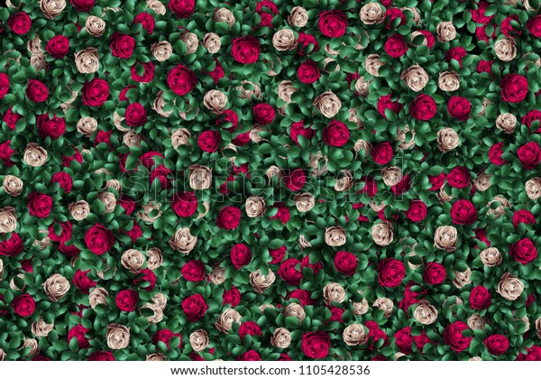 不思議の国のアリス 赤いバラと白いバラの背景 のイラスト素材
