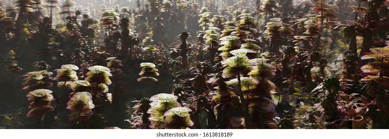 Alien Forest, Plant Life On The Surface Of An Exoplanet (3d Science Rendering Banner) 