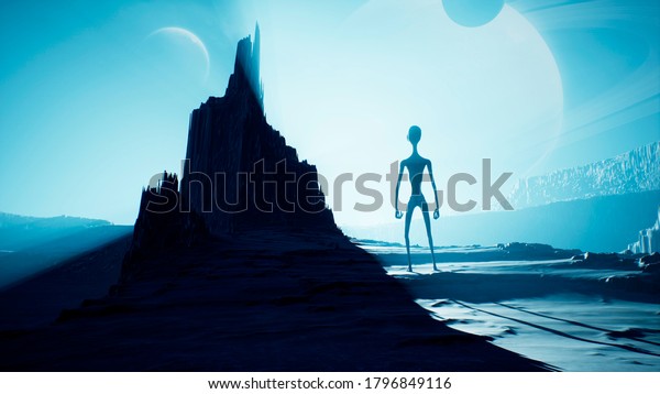An\
alien is waiting for the dawn on his unusual planet. Landscape of a\
beautiful alien planet in far space. 3D\
Rendering.