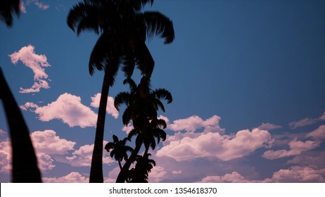 Alley Of Palm Trees 3d Render