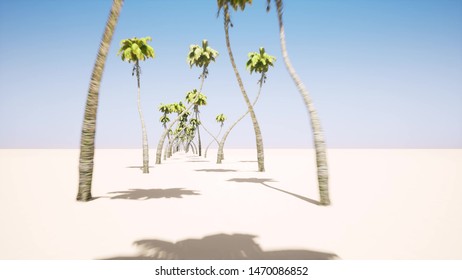 Alley Of Palm Trees 3d Render