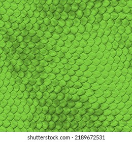 48,915 Alligator leather Images, Stock Photos & Vectors | Shutterstock