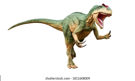 Allosaurus Fragilis With Attack Or Aggressive Pose Isolated On White Background. Dinosaur Realistic And Scientific Reconstitution. 3D Rendering Illustration.