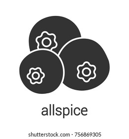 Allspice Glyph Icon. Silhouette Symbol. Negative Space. Raster Isolated Illustration