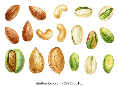 Almond, pistachios, cashew nuts set. Watercolor nut collection. Different types of nut isolated, food clipart - Powered by Shutterstock