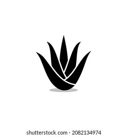 Aloe Vera Icon Isolated On White