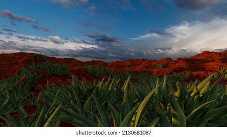 Aloe Vera plant in dry desert landscape, 3D Illustration