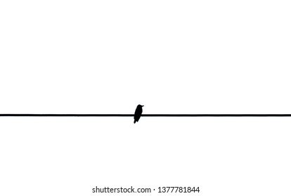 Alone bird on a wire on white background, Alone bird is on the electric cable, silhouette of bird on wire
