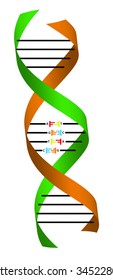 Alpha Helix With Connection Base Pairs