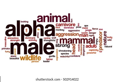 Alpha Male Images Stock Photos Vectors Shutterstock