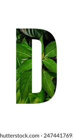 Alphabet design with leaf texture on white background