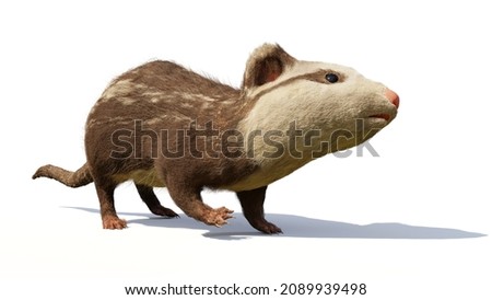 Alphadon, small extinct mammal from the Late Cretaceous that lived alongside dinosaurs, isolated on white background, 3d render [[stock_photo]] © 