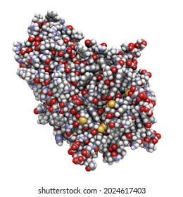 Alpha-galactosidase (Agalsidase) Enzyme  Cause Of Fabry's Disease  3D Render  Administered As Enzyme Replacement Therapy 