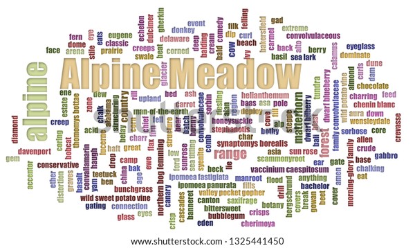 Alpine Meadow Word Cloud Randomised Isolated Stock Illustration ...