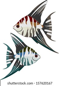 21 Teardrop angelfish Images, Stock Photos & Vectors | Shutterstock