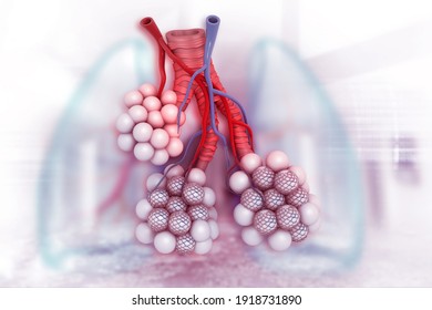 Alveoli In Lungs. 3d Illustration