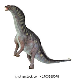 Amargasaurus Cazaui Dinosaur 3d Illustration - Amargasaurus Was A Sauropod Herbivorous Dinosaur That Lived In Argentina During The Cretaceous Period.