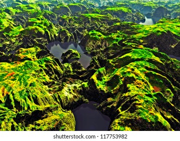 Amazon River Bird's Eye View