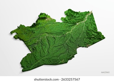 Amazonas Isometric Perspective 3D Relief Satellite Image Relief Map