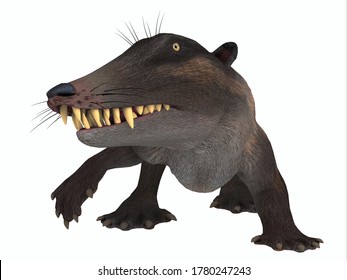 Ambulocetus Mammal On White 3D Illustration - Ambulocetus Was The Primitive Otter-like Ancestor Of The Whale And Lived In Pakistan And India During The Eocene Period.