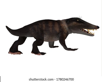 Ambulocetus Walking Whale 3D Illustration - Ambulocetus Was The Primitive Otter-like Ancestor Of The Whale And Lived In Pakistan And India During The Eocene Period.