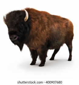 American Bison on a white background. 3d rendering