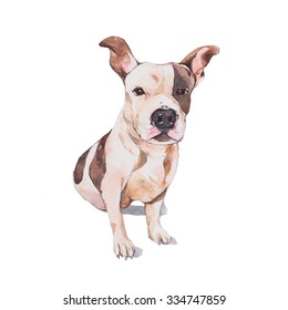 Watercolors Dogs Hipster High Res Stock Images | Shutterstock