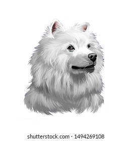 American Eskimo Dog Images Stock Photos Vectors Shutterstock