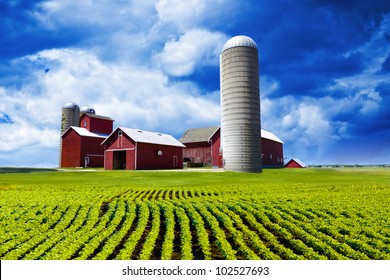 American Farm