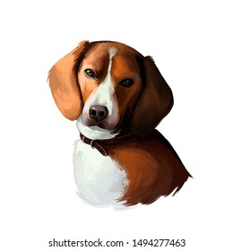 American Foxhound Dog Digital Art Illustration Isolated On White. Breed Of Dog English Hound Bred To Hunt Foxes Scent. Hazel Or Brown Puppy. T-shirt Print, Puppy Food Cover, Hand Drawn Muzzle Portrait