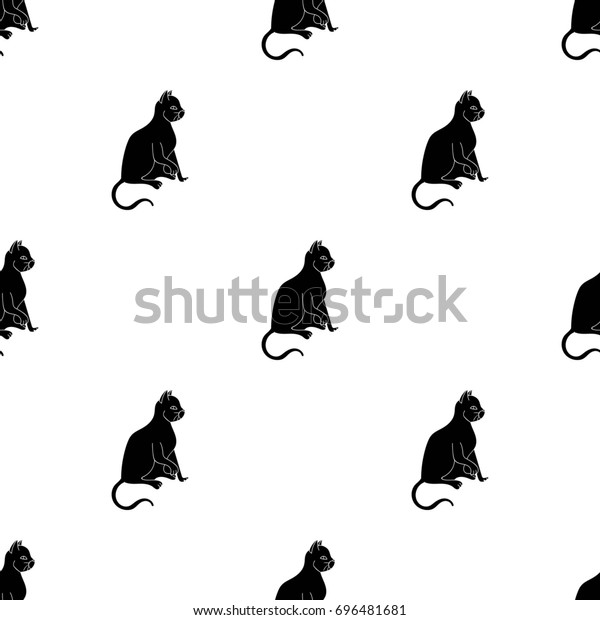 American Shorthair Icon Black Style Isolated Stock Image